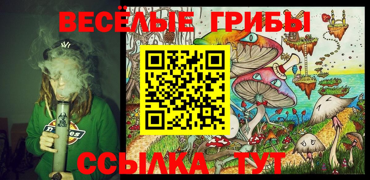 Псилоцибиновые грибы Psilocybine cubensis  Вход с VPN  Моршанск  Галлюциногенные грибы Cubensis 